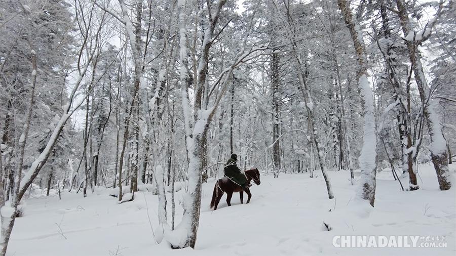 冰雪经济叫什么__冰雪经济热起来