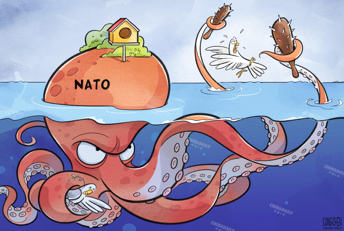 _北约和平伙伴关系计划成员国_北约和平伙伴关系计划