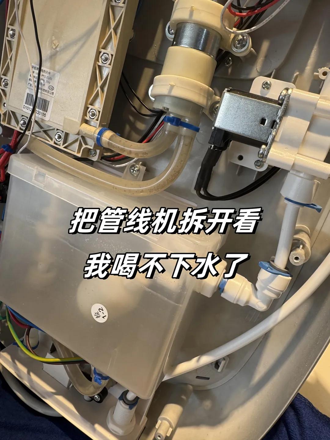 _女人找两个鸭子伺候_不花钱交友网找富婆