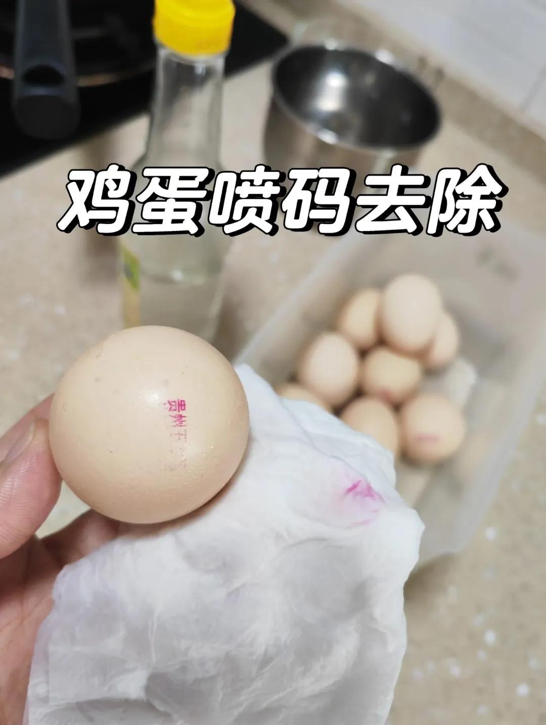 干净的表现_干净点好还是脏点好_