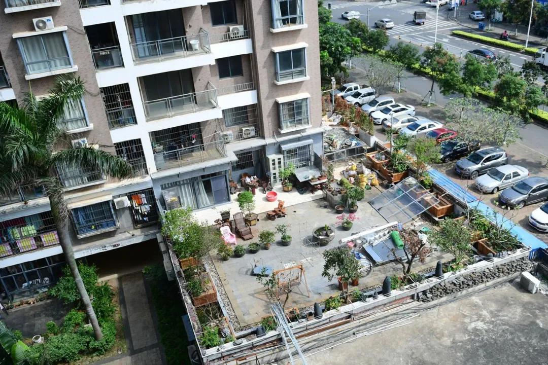 买了低层带露台的房子，以为是捡到宝了，入住后才知是噩梦的开始__买了低层带露台的房子，以为是捡到宝了，入住后才知是噩梦的开始