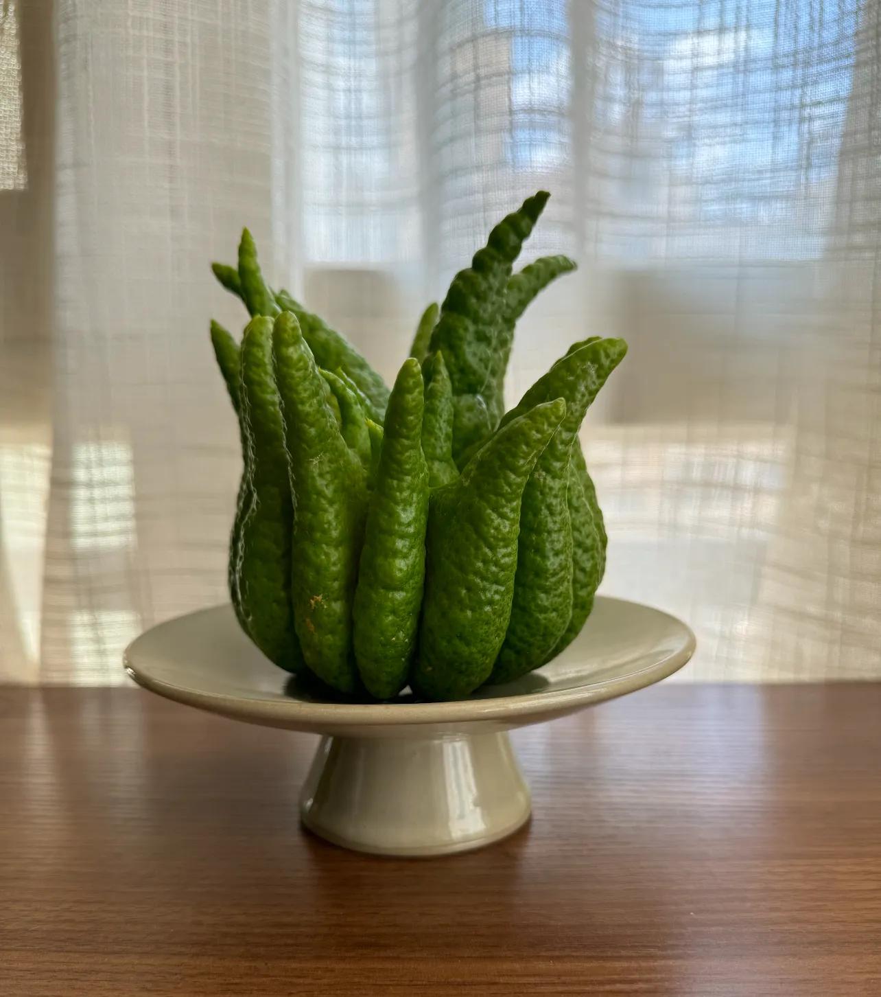 _看到东西想到事情的成语_开锁公司能打开保险柜没