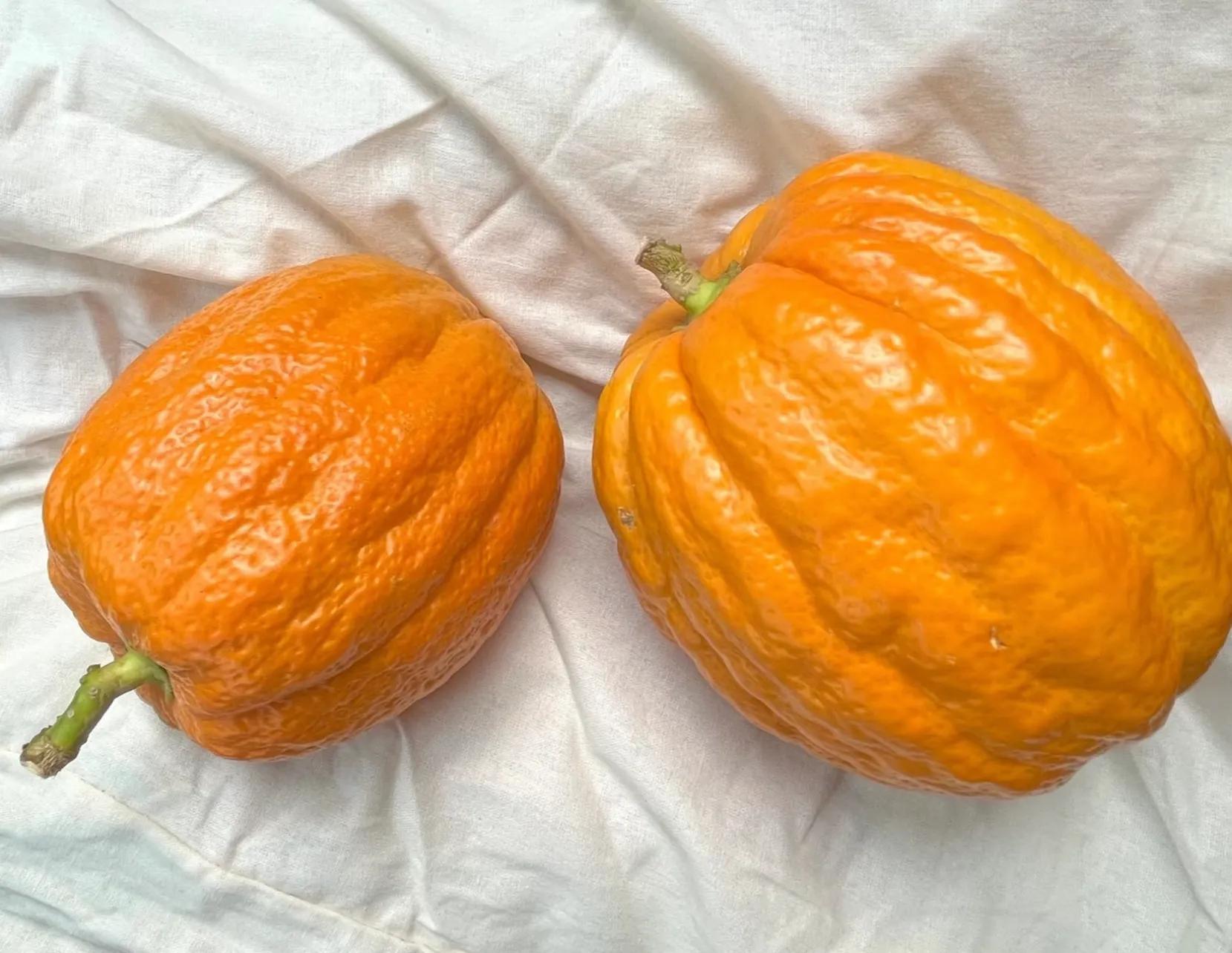 开锁公司能打开保险柜没_看到东西想到事情的成语_