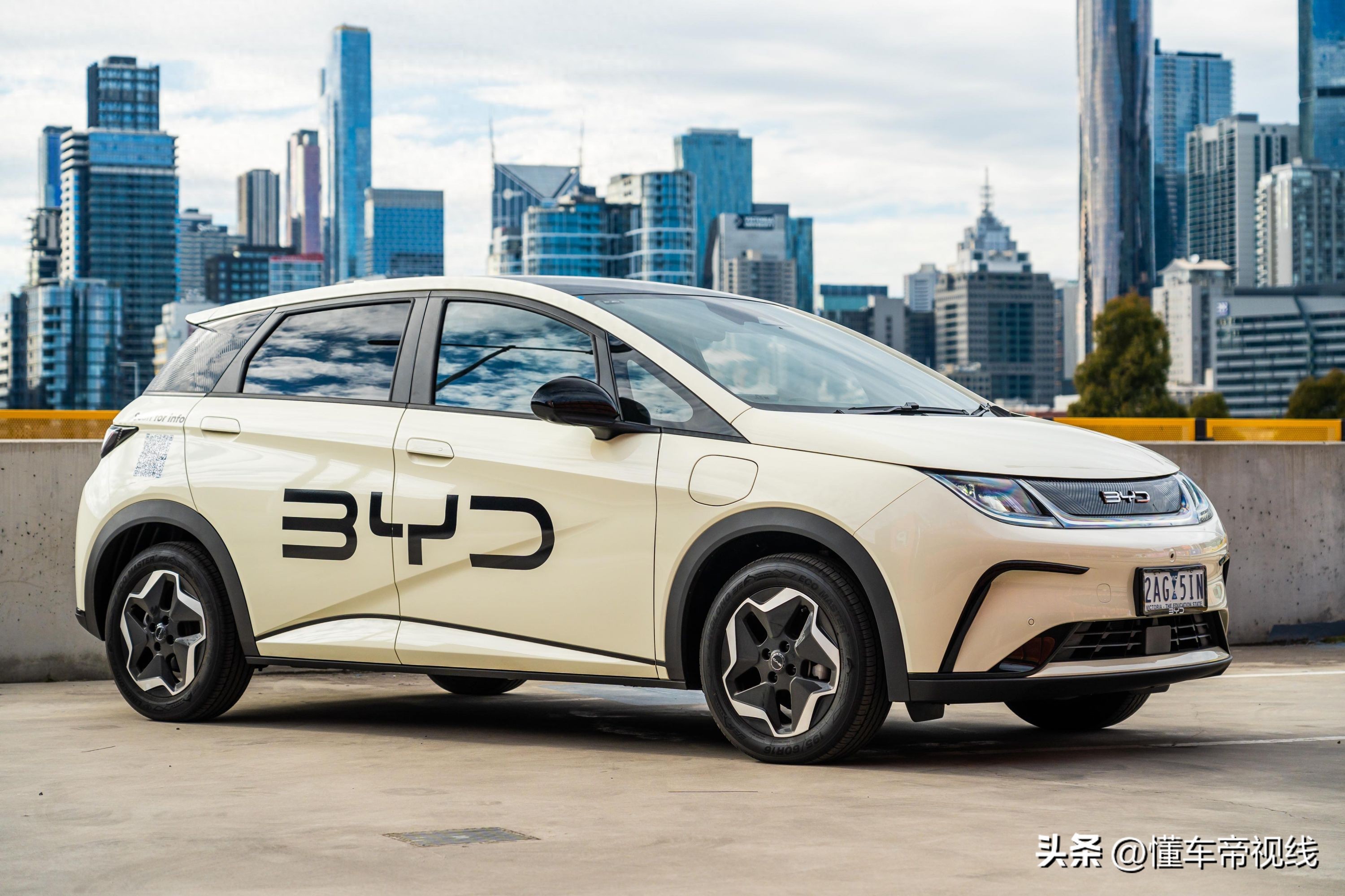 大众电瓶汽车什么价_大众小电动_