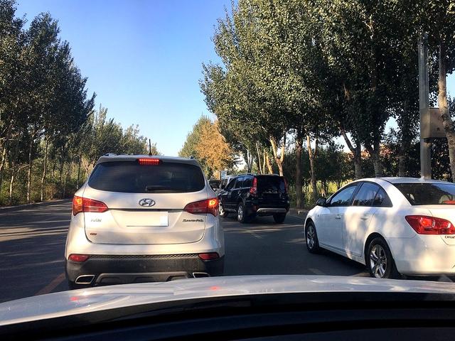 成都车展观察，燃油车已成情怀，未来属于电动车？-有驾