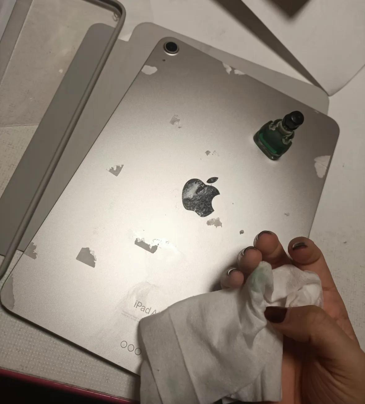 _蚊子有何用_扇子的用途很广泛