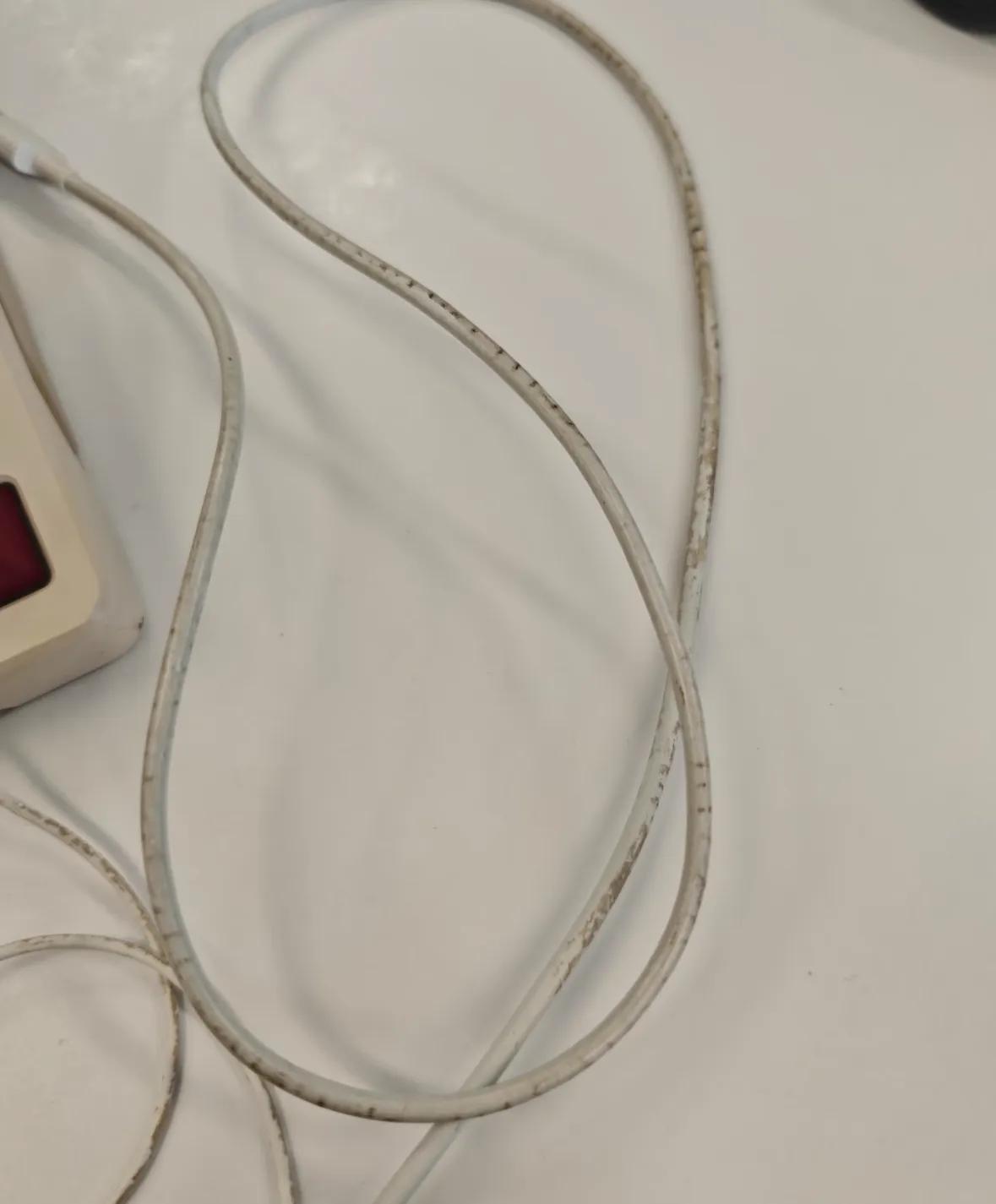 扇子的用途很广泛_蚊子有何用_