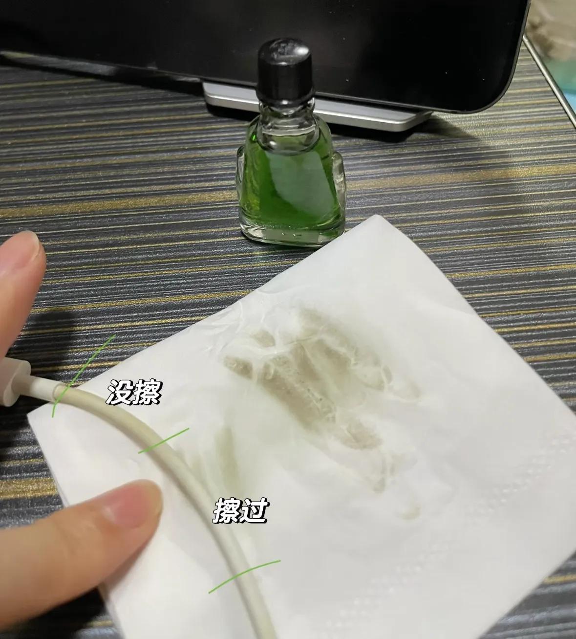 _蚊子有何用_扇子的用途很广泛