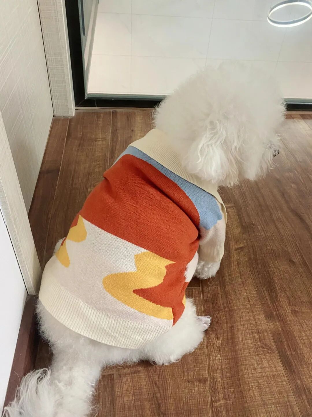 _扔出去的东西_扔多余的东西