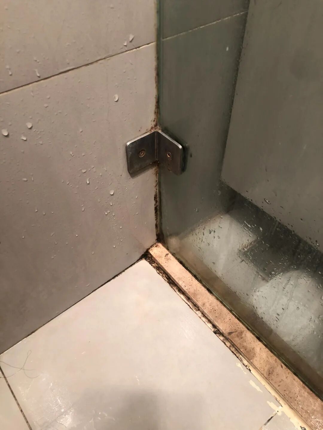 淋浴玻璃隔断安装视频_淋浴隔断玻璃怎么擦干净_