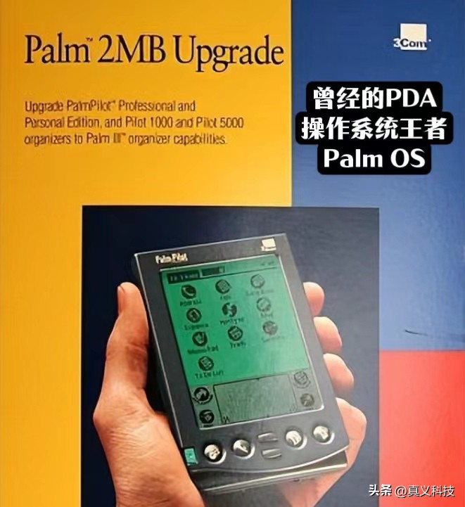 王者的坠落__王者坠落的祸源怎么过