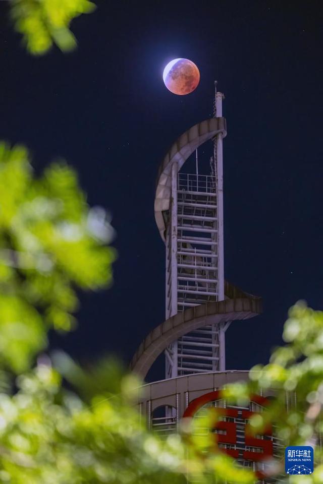 月亮脸红了是什么意思_月亮脸红了_