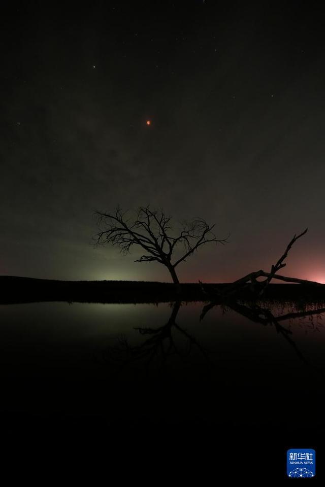 _月亮脸红了_月亮脸红了是什么意思