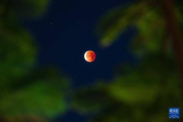 _月亮脸红了_月亮脸红了是什么意思