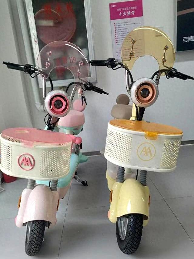 老娘买了三台电动车总结的血泪教训！销售绝对不会告诉你的大实话-有驾