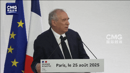 政治豪赌失败！法国总理贝鲁下台_政治豪赌失败！法国总理贝鲁下台_