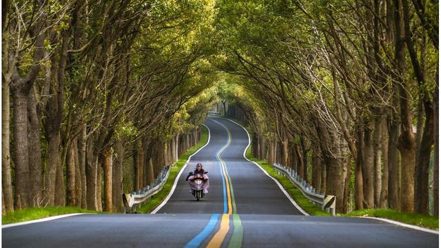 成都车展新车扎堆，新能源亮相多，买家纠结怎么选-有驾