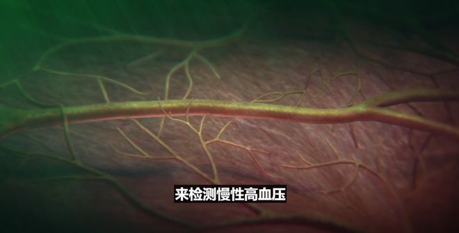 苹果iPhone 17直捅安卓老巢，库克终于大方了一把__苹果iPhone 17直捅安卓老巢，库克终于大方了一把