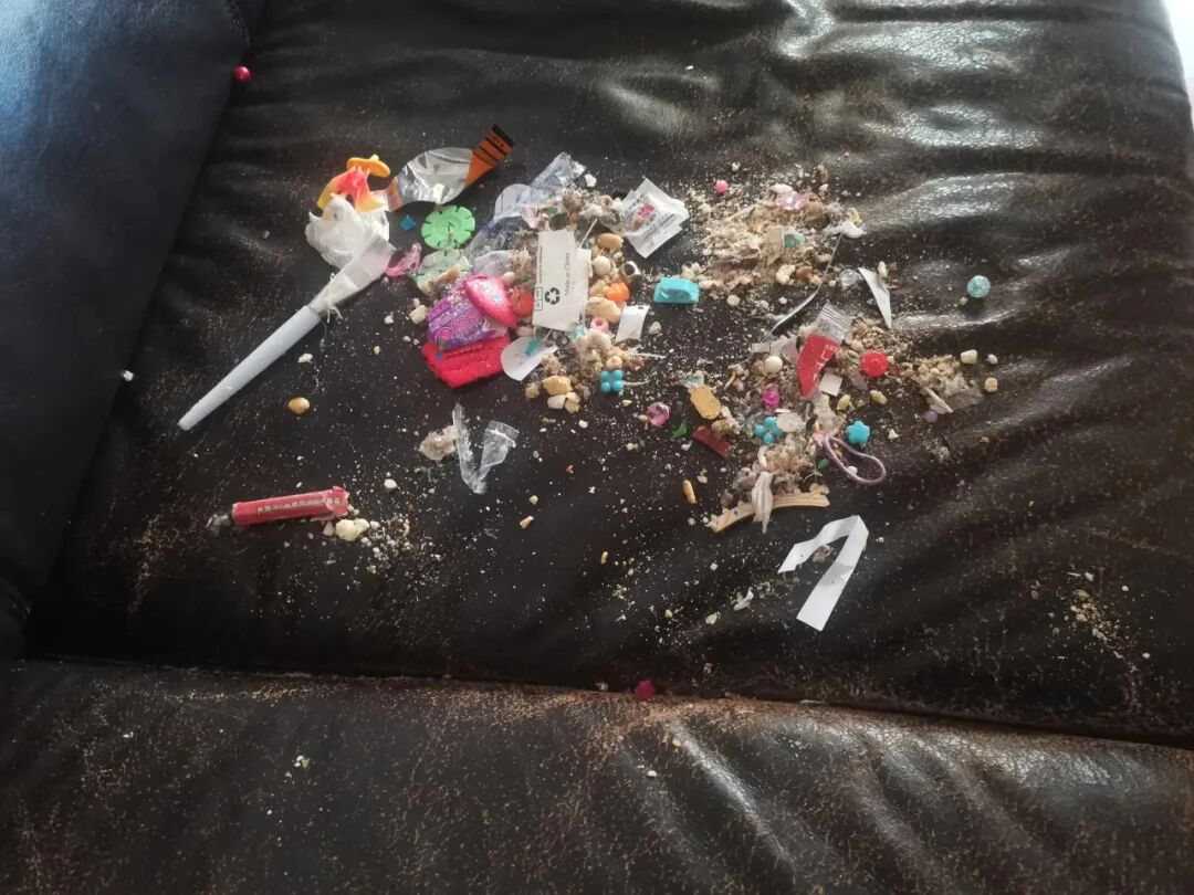 被年轻人“生活鬼点子”折服了!看似离谱,却解决了不少生活痛点__被年轻人“生活鬼点子”折服了!看似离谱,却解决了不少生活痛点