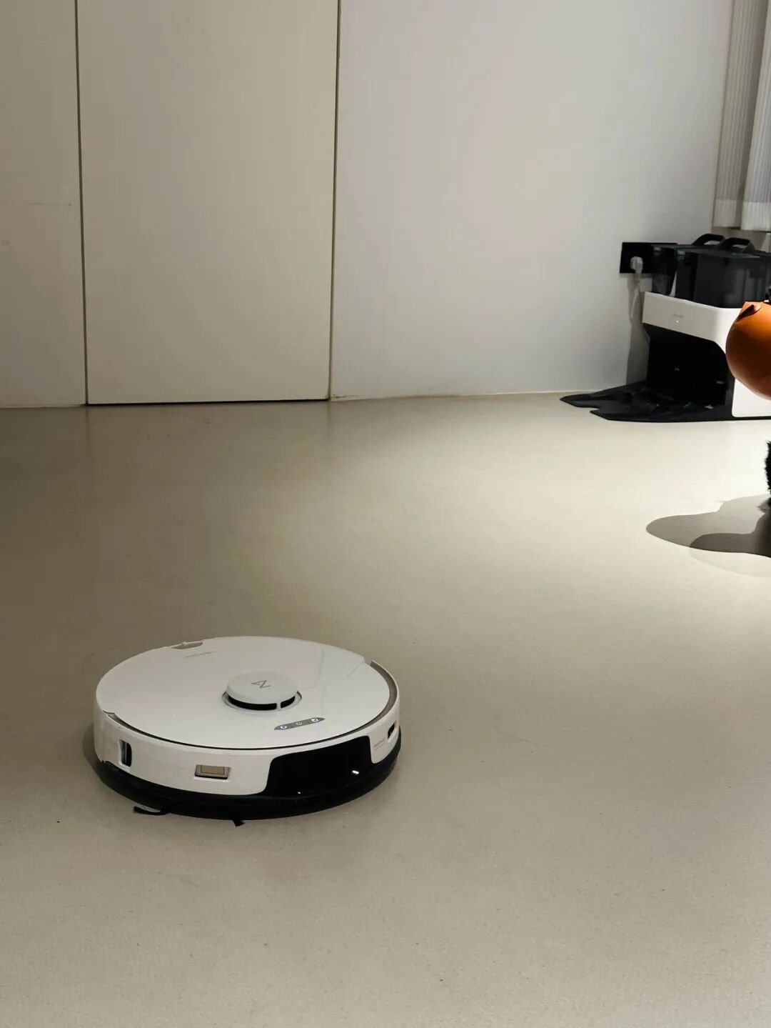 装修年轻化_年轻人要省钱还是要花钱_