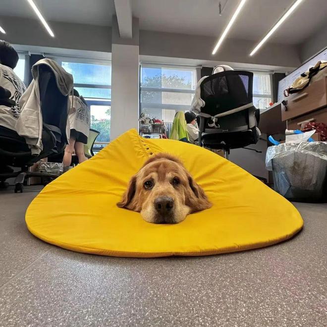 _离子有球棍模型吗_二胎宫口开一指离分娩还有多久