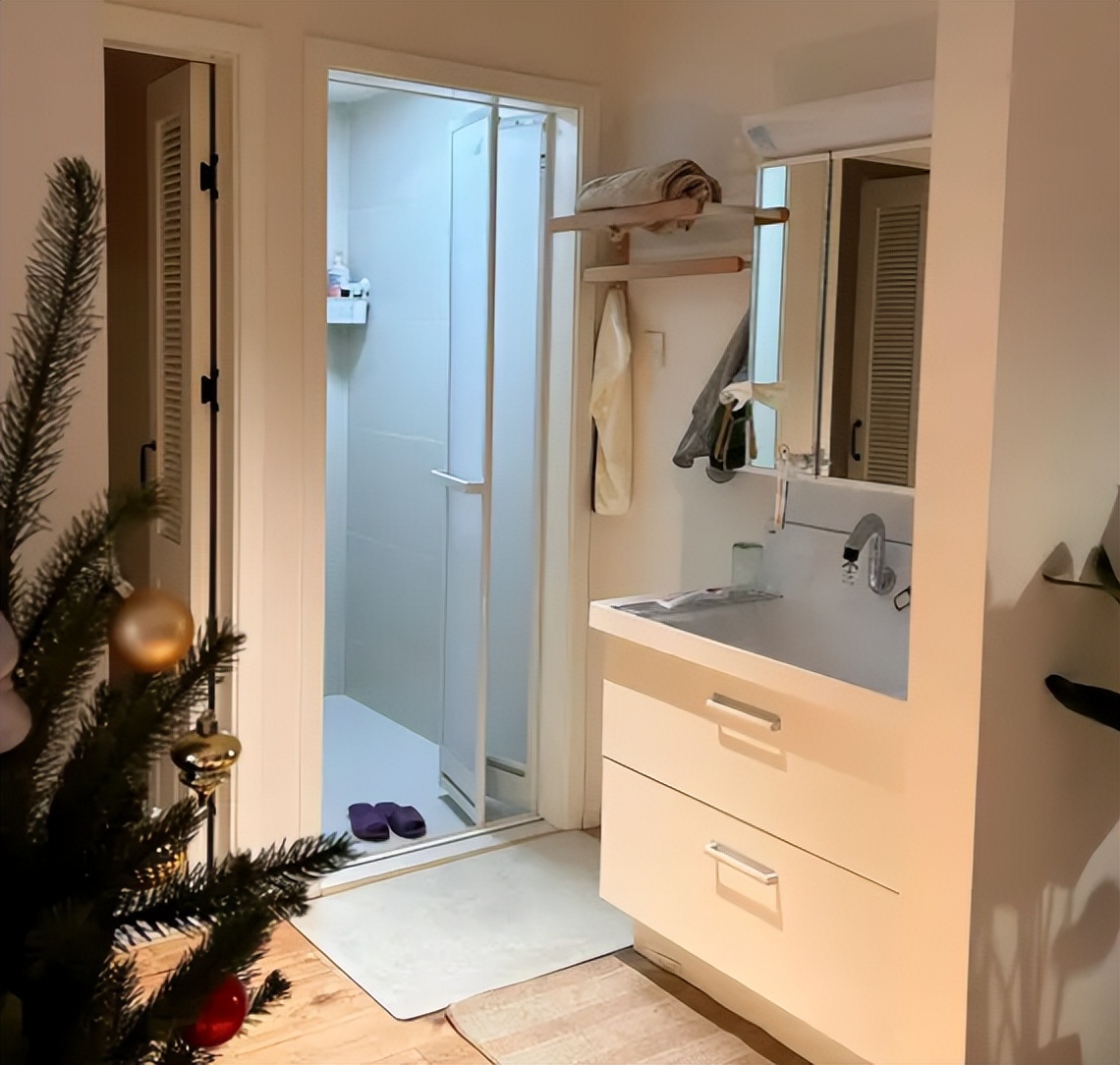 整洁卫生什么意思_洗手装修效果图_