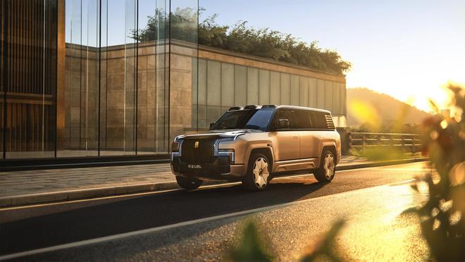 仰望品牌__仰望殿顶的意思