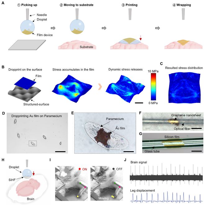 _科学与健康｜一滴水“贴膜”？我国科学家开发“液滴打印”新技术_科学与健康｜一滴水“贴膜”？我国科学家开发“液滴打印”新技术