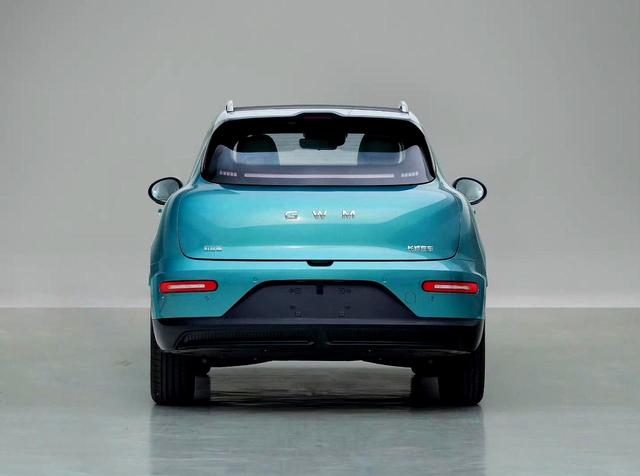 欧拉憋王炸:卷土重来,这次能翻盘?别再翻车了喂!-有驾