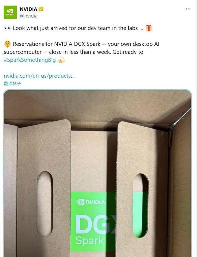 _十五剧本杀dm_剧本十五是什么本