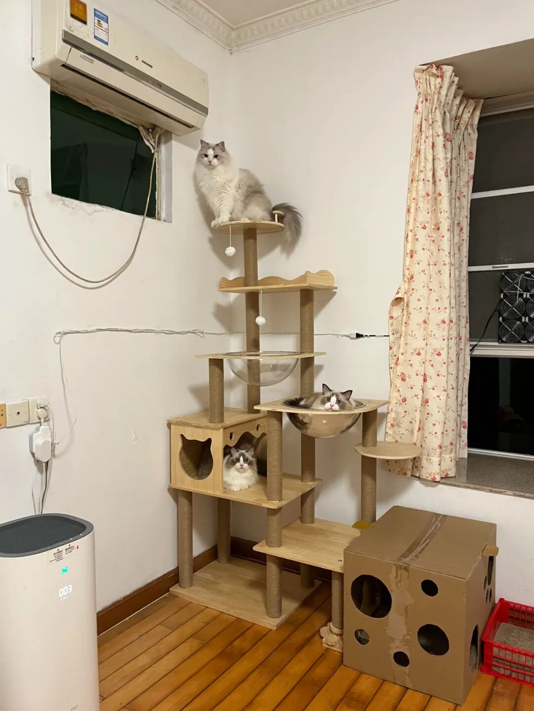 买二手房后发现厨房下水道堵_二手物品比较值钱的东西_