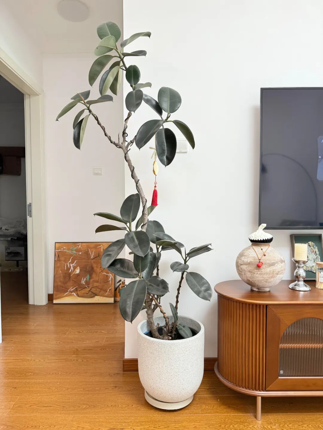 _二手物品比较值钱的东西_买二手房后发现厨房下水道堵