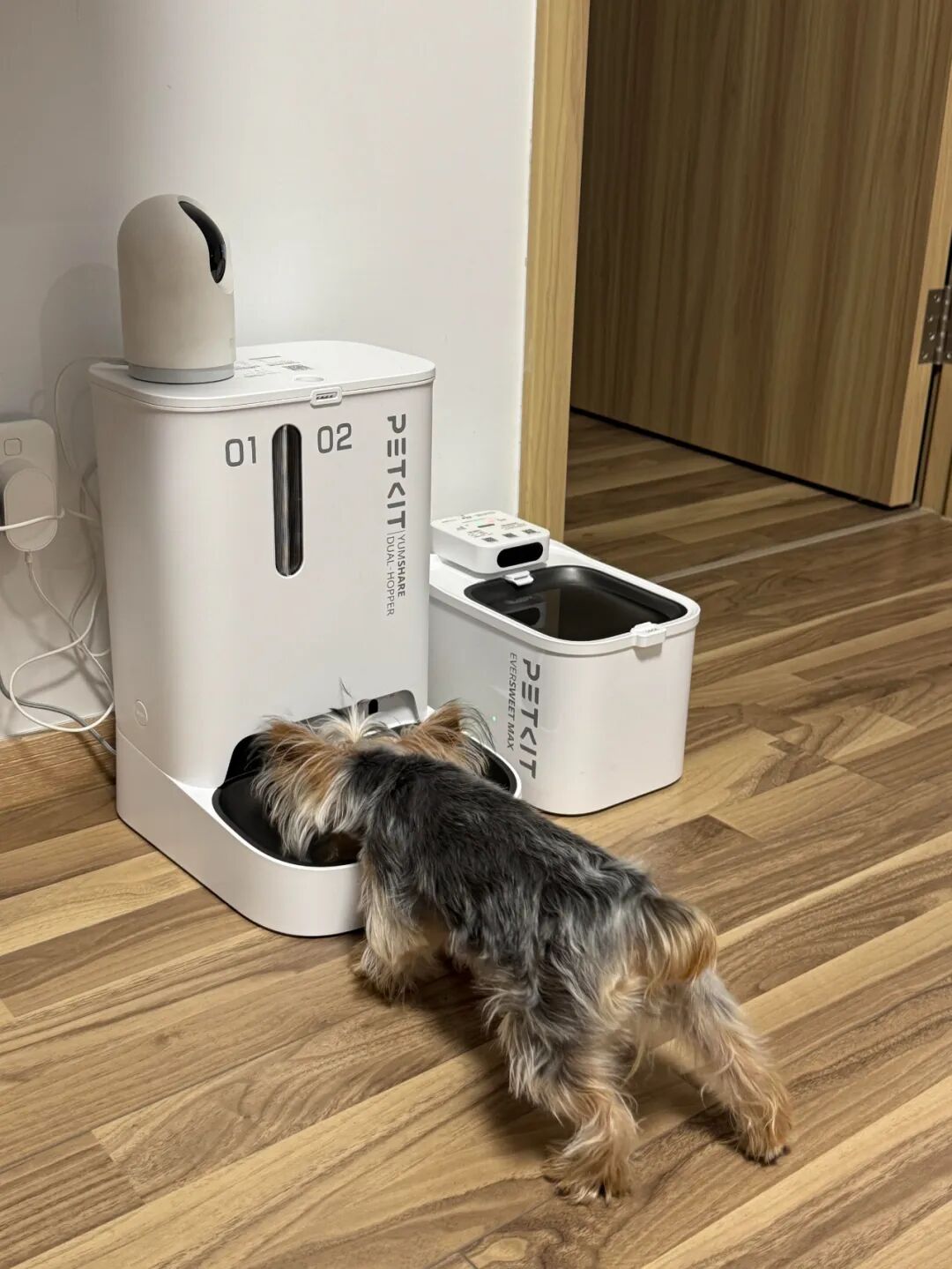 _买二手房后发现厨房下水道堵_二手物品比较值钱的东西