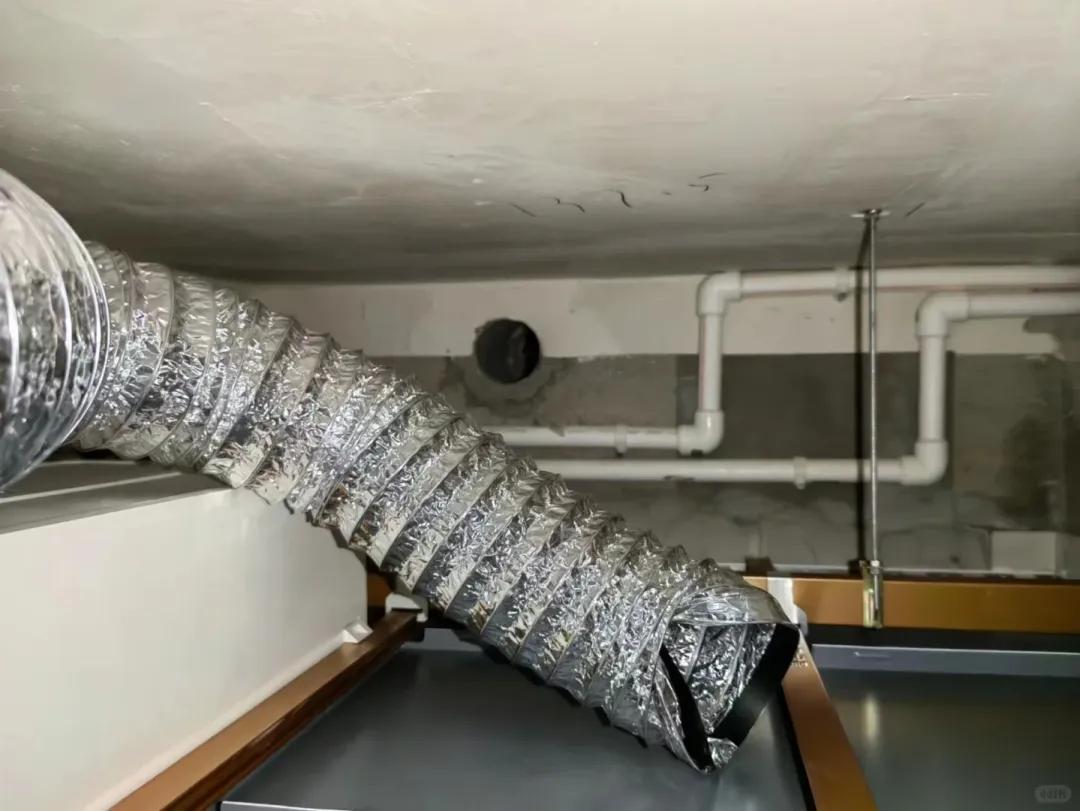 别大意！有人家里的卫生间被“入侵”了，吊顶上面让人大呼意外_别大意！有人家里的卫生间被“入侵”了，吊顶上面让人大呼意外_