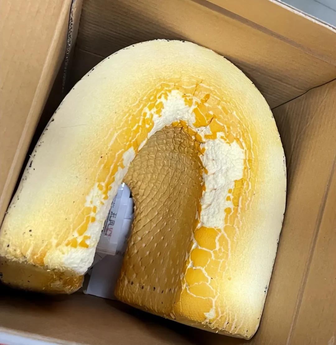 枕头扔掉好不好__枕头扔掉对自己不好吗