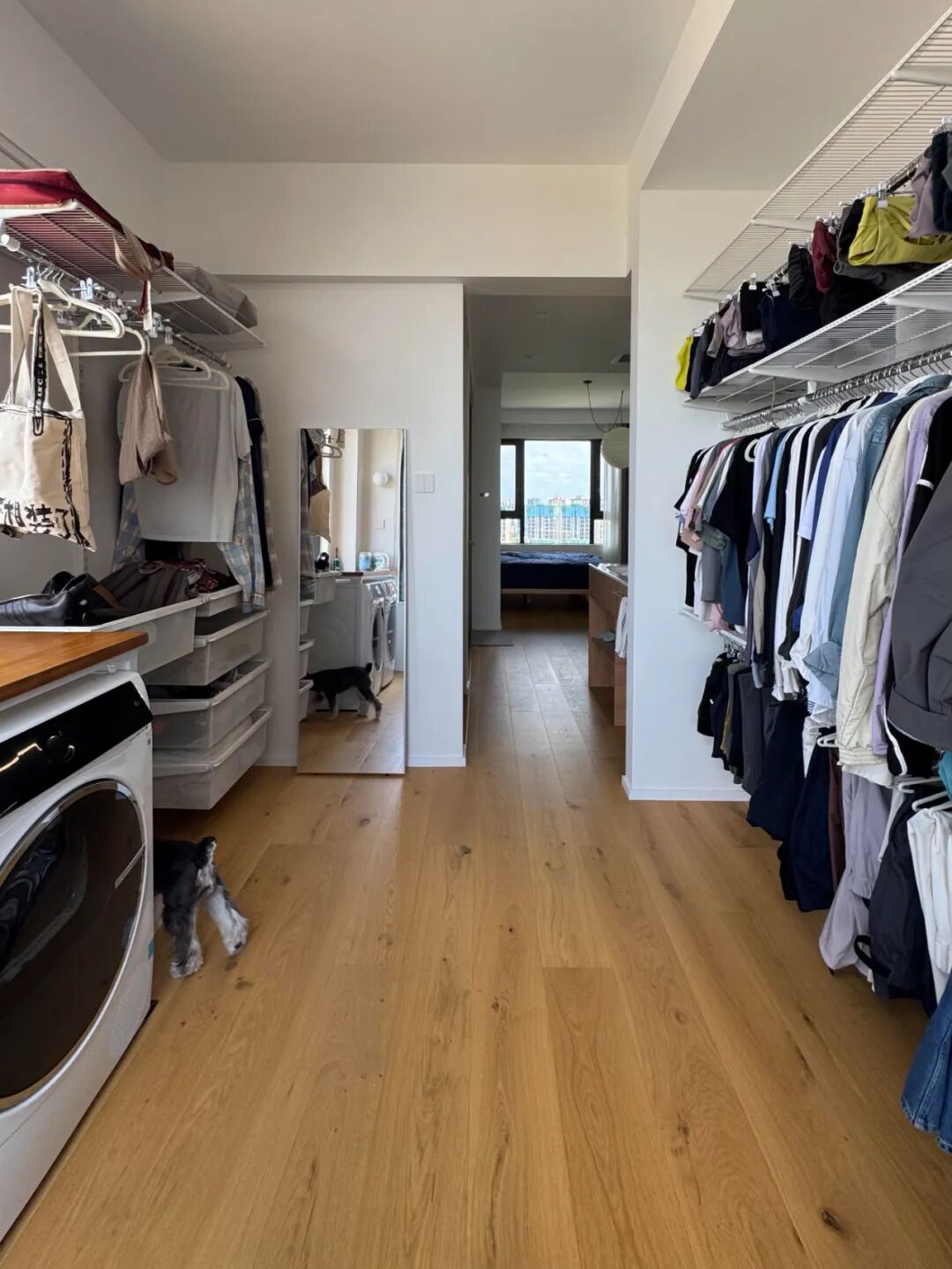 女子毛坯房装修_新地球发现引网友畅想_