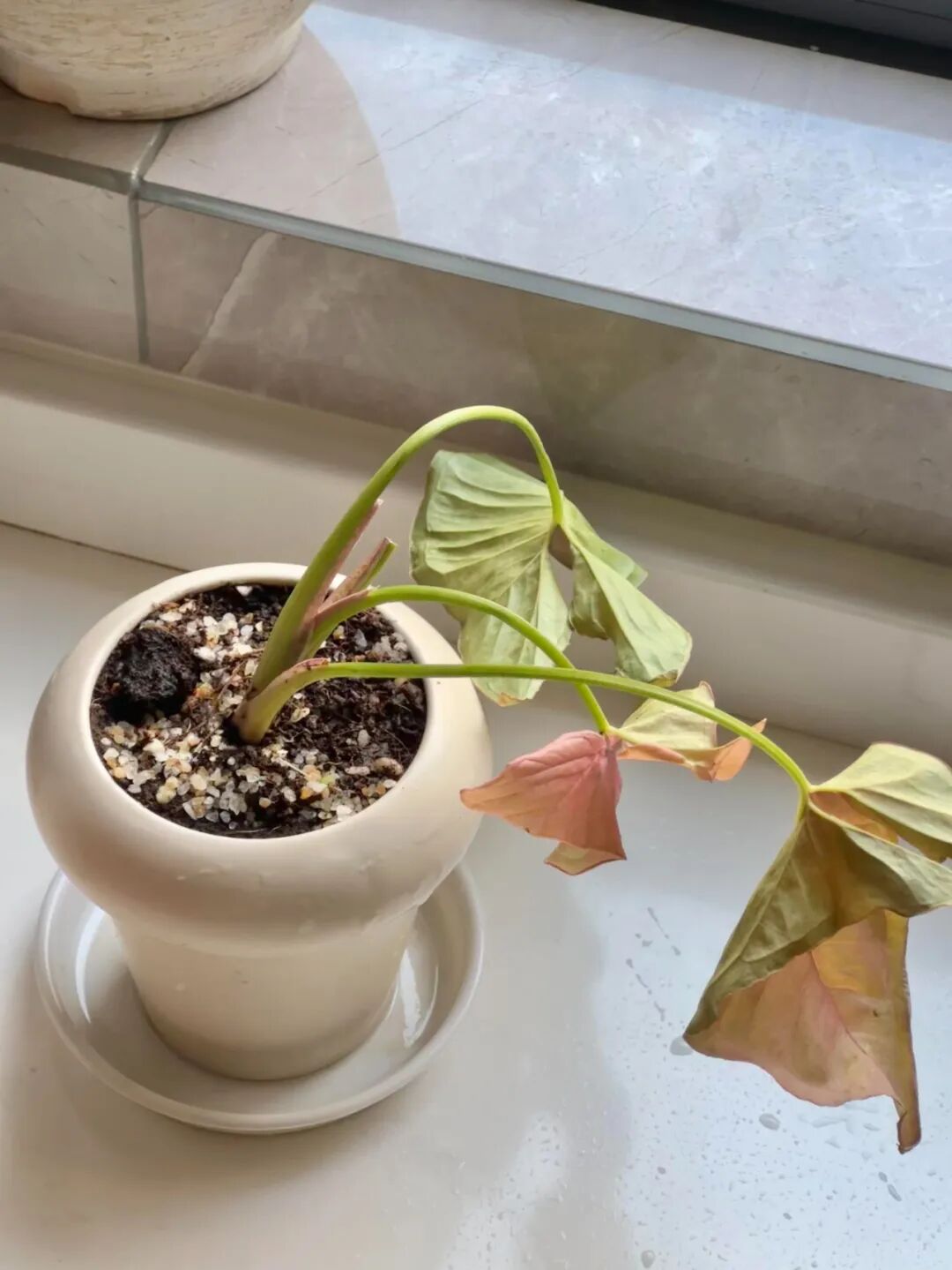 有一种痛苦叫“厨房乱抄作业”，入住两个月，全是生活痛点！__有一种痛苦叫“厨房乱抄作业”，入住两个月，全是生活痛点！