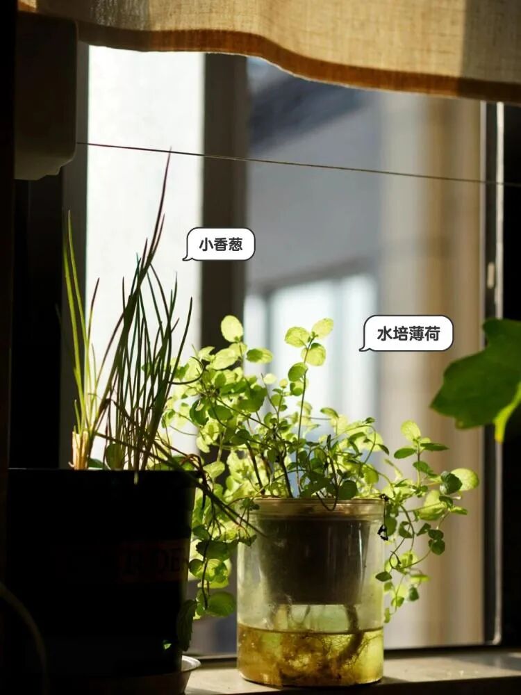 有一种痛苦叫“厨房乱抄作业”，入住两个月，全是生活痛点！__有一种痛苦叫“厨房乱抄作业”，入住两个月，全是生活痛点！