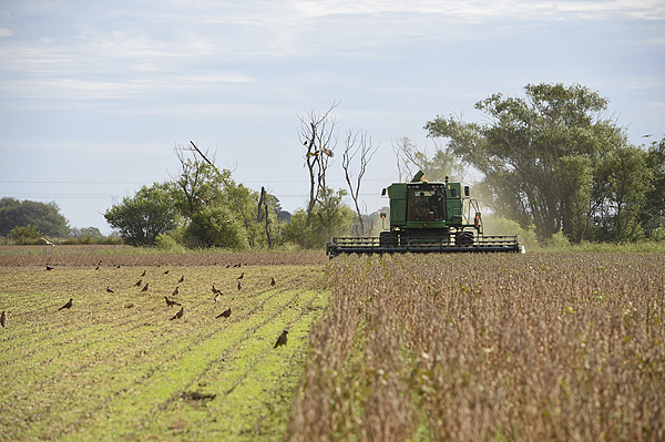 阿根廷船员疫情__阿根廷ⅴs