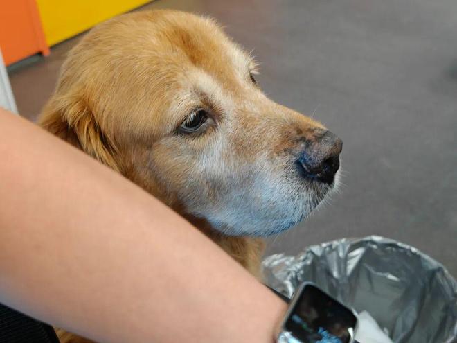 _iPhone 16 系列跑崩坏星槎海的温度情况_iPhone 16 系列跑崩坏星槎海的温度情况