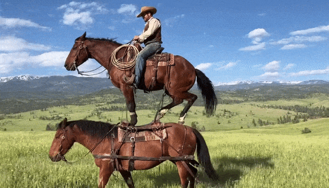 刚刚，OpenAI Sora 2重磅登场！首个APP上线，或将成为AI时代新TikTok_刚刚，OpenAI Sora 2重磅登场！首个APP上线，或将成为AI时代新TikTok_