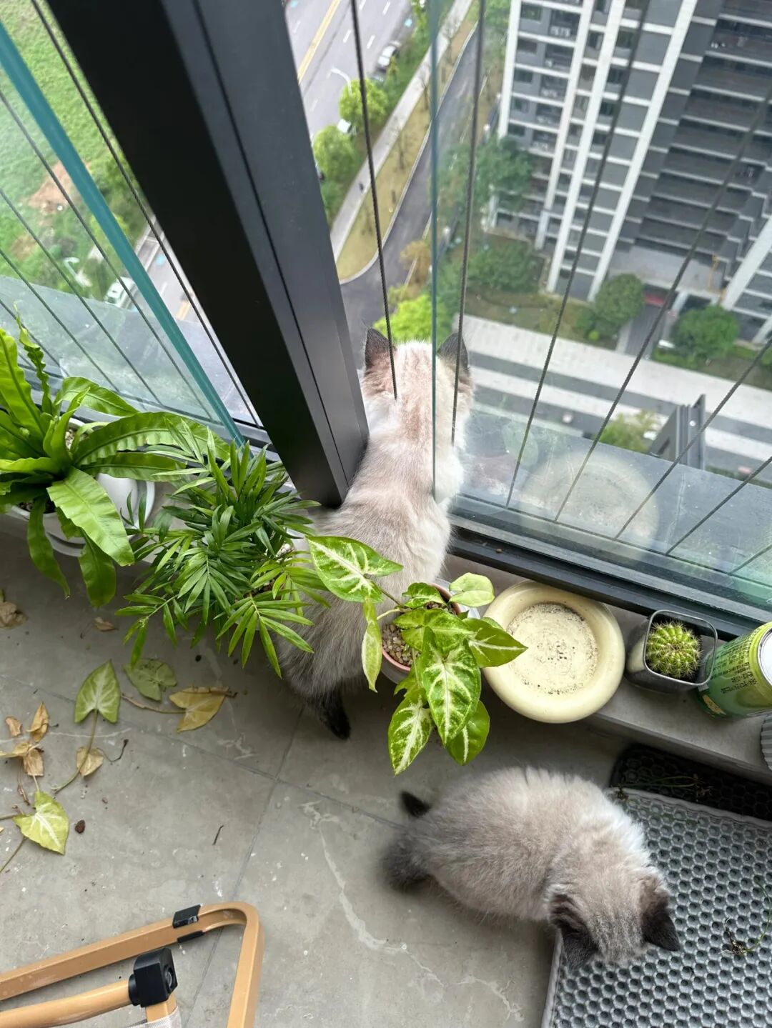 省钱简单装修效果图大全__省钱装修效果图