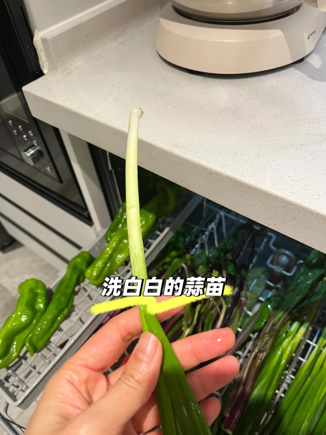 _文具电器_差生文具多前面一句