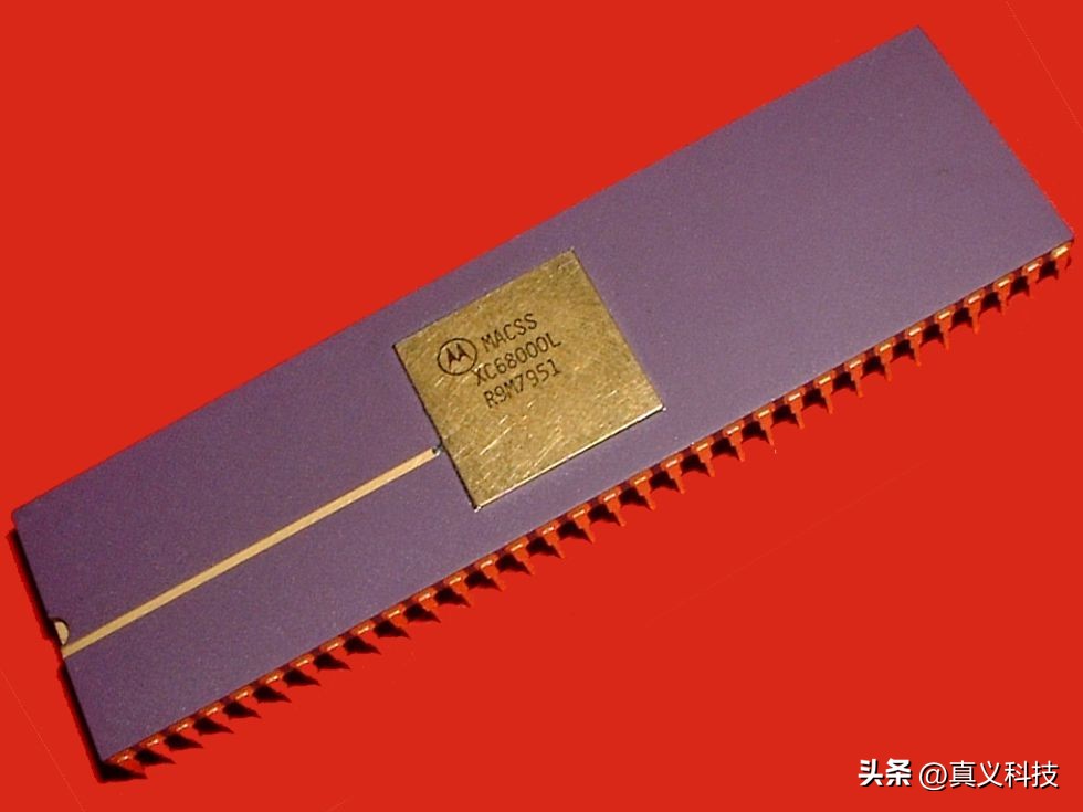 百年西敏寺犬展全场总冠军回顾_未来科技感摩托车_