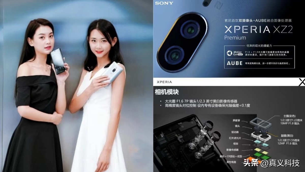 _elona信仰已精深到极致_索尼曾经的辉煌