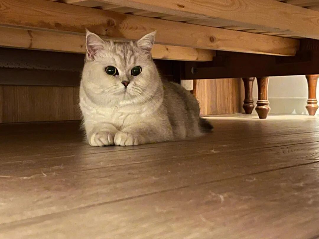 烧烤神器多少钱一台__烧烤器怎么做