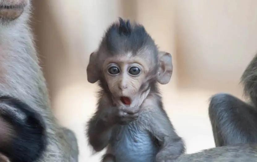 应对老龄化挑战__我国应对老龄化的战略对策