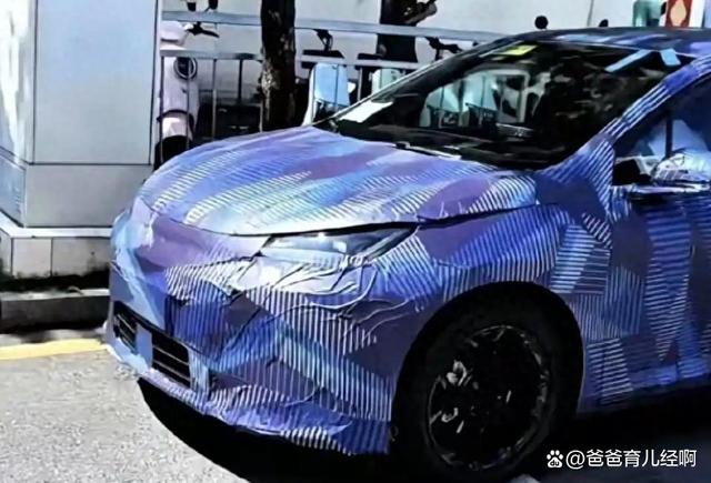比亚迪海豚新车谍照曝光：颜值回归，两厢设定加后驱，电动小钢炮要来了-有驾