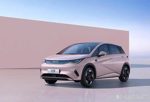 比亚迪海豚新车谍照曝光：颜值回归，两厢设定加后驱，电动小钢炮要来了-有驾