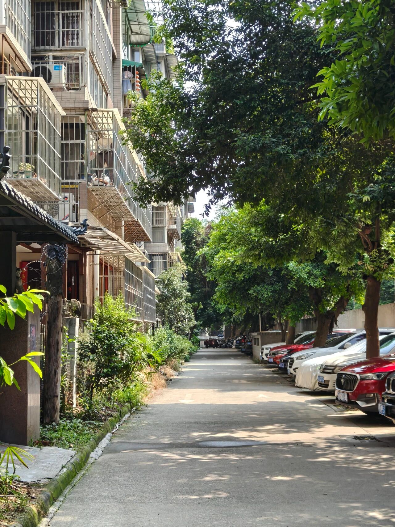 老小区电梯入户__电梯老房子